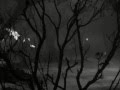 Lanterna - Fog