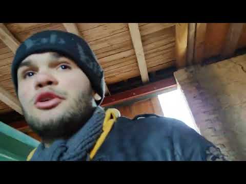 zwei Hühner gehen zum Schlachter