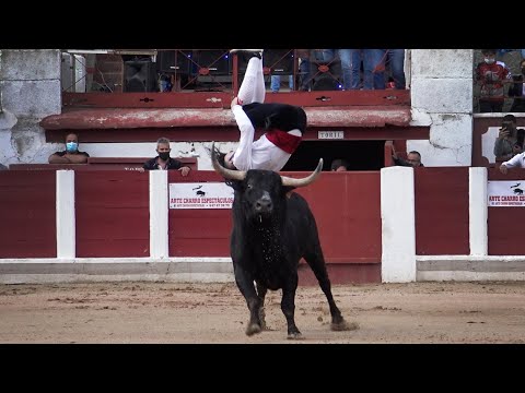 Zamora Gran Concurso Nacional de Recortadores, Feria Taurina San Pedro 2021