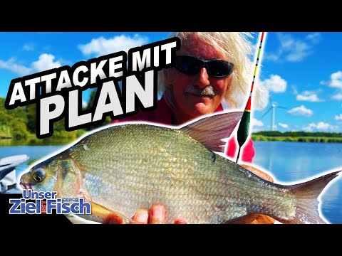 NEUES WASSER VERSTEHEN & FANGEN - JÖRG OVENS WAGGELT zum FISCH - Unser Ziel ist Fisch - Angelschule