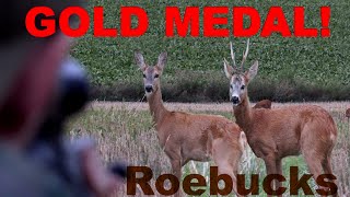 auf Goldmedaillen Rehböcke mit TTA-Jagdreisen - Hunter Brothers