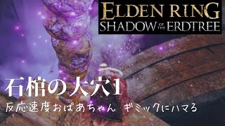【エルデンリングDLC】#15まったり実況 石棺の大穴ギミックにハマる反応速度おばあちゃん褪人