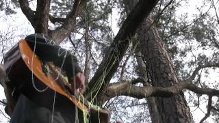 Rachel Goodrich Light Bulb