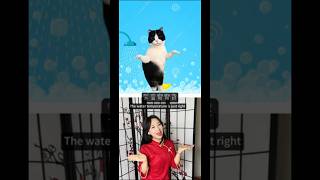Let’s dance with cat 🐈‍⬛ today! #lol #language #learnchinese #china #chinese #chineseteacher