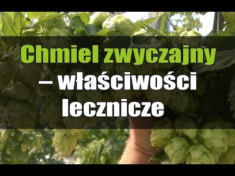 Jakie ćwiczenia na zwiększenie potencji u mężczyzn Niektóre leki stosowane w leczeniu impotencji
