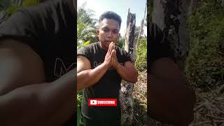 Download lagu It's said that the content is not of good quality, but it wants to go viral to that extent, belie... mp3