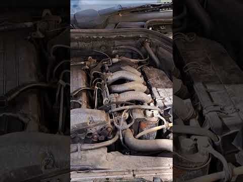 Starting up the Mercedes W124 250D