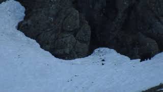 Joo mama¡ que divertida es la nieve¡¡