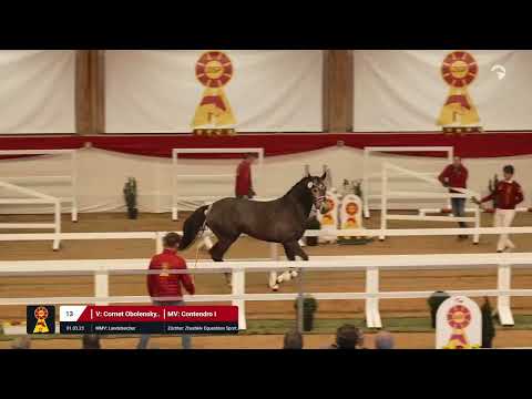 Lot 13 v. Cornet Obolensky (Windows v.h.Costersv.) / Contendro I