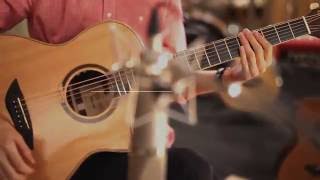 Luca stricagnoli - The Showman [Cover] / Gopherwood G820CE