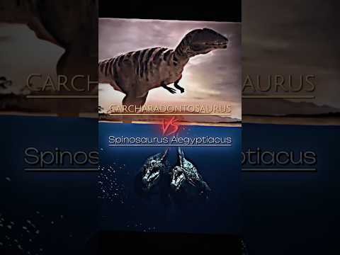 Carcharadontosaurus VS Spinosaurus and Mapusaurus #edit #dinosaur #1v1