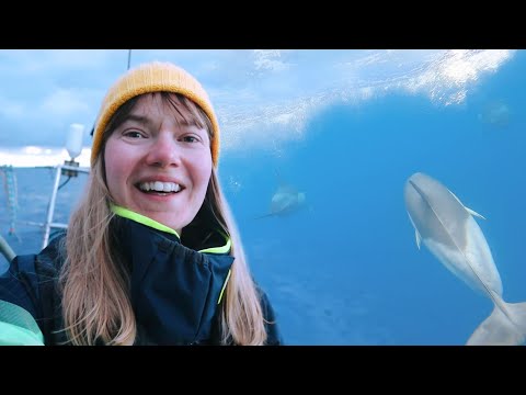 CROSSING the BAY OF BISCAY - From FRANCE to SPAIN | Sailing MAKANI Ep10