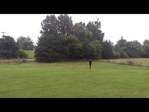 Snakes and Sparklers