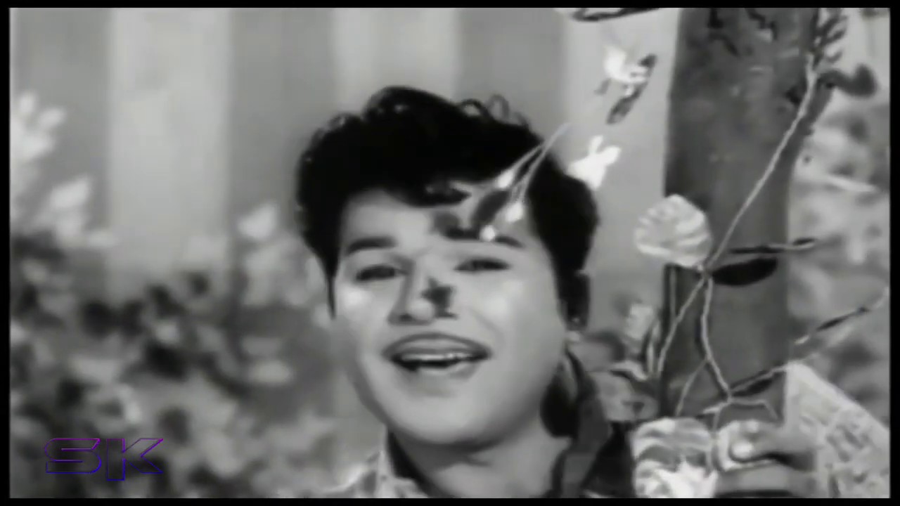 Oorukkellam Poochootum Song Lyrics | Raja Veettu Pillai | T. M. Soundarajan, P. Susheela