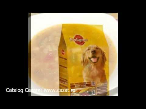 Cazare Budurleni, Bistrita Nasaud - Cazat.ro