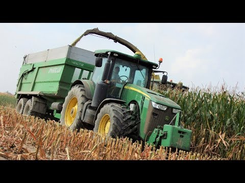 Jelenie w kukurydzy! W roli głównej sieczkarnia John Deere 7380i