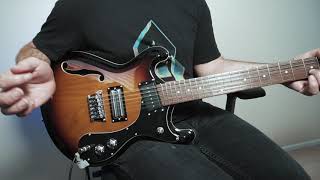 Video thumbnail for Danelectro 66-12 string Demo By Tim Nienhuis by Danelectro Official