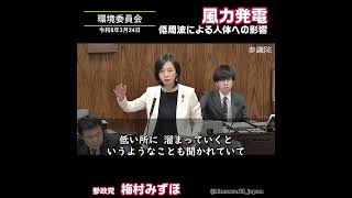 風力の健康被害 / 参政党：梅村みずほ