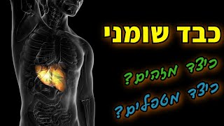 כבד שומני - כיצד מזהים ומה הטיפול לניקוי הכבד 🌼 הרצאה מרתקת מפי הרב שירי אליהו 🙏🏻