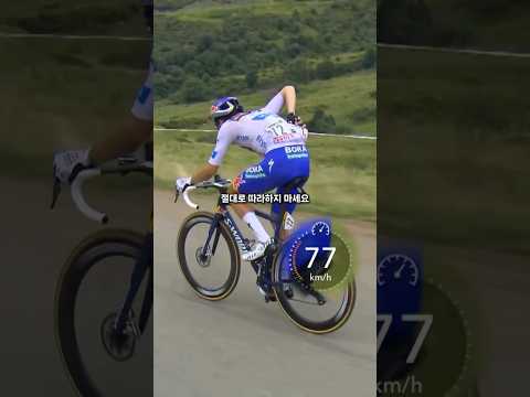 프로 선수들 심장이 남아 돔?