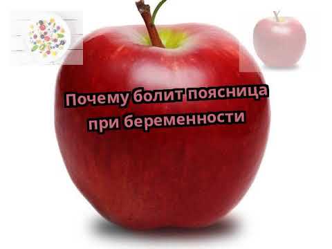 Боли внизу спины отдающие в низ живота Сыр вреден для суставов