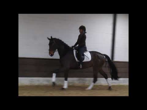 FLO 4j v. Finest- Arpeggio VB 10.000,- Euro