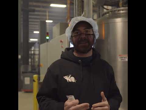 When Pigs Fly & OUR STARTER