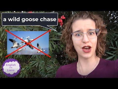 Idiom - a wild goose chase