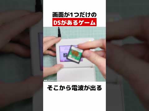 画面が1つだけのDSがあるゲーム