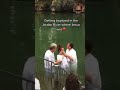 I Believe In God Our Father ️ ️ Jesus Shorts Shortsfeed