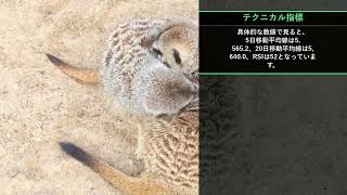 本日の投資注目TOP10【8/7 21:00】
