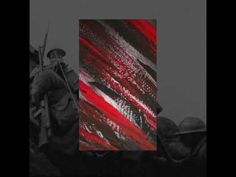 PREMIERE | Swærm - Realise The Consequences [Vives]