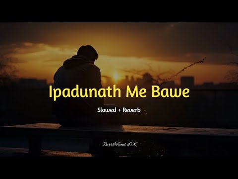 Ipadunath Me Bawe | ඉපදුනත් මේ භවේ (Slowed + Reverb) @ReverbTunes_lk