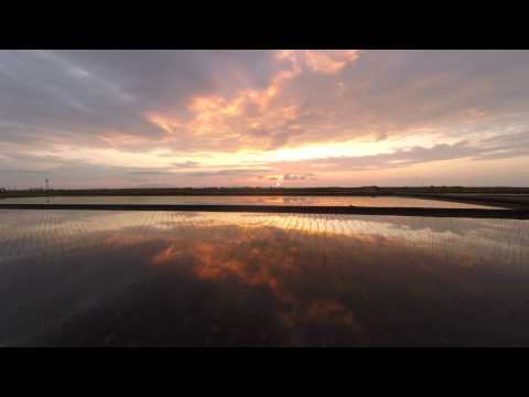 【NIIGATA-SORADORI】越後平野　恵の地の夕景　新潟市