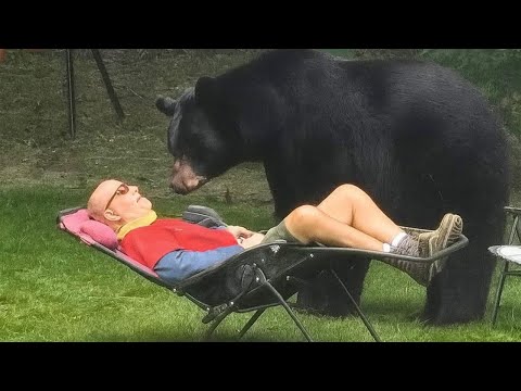 Les vidéos d'animaux les plus drôles 2025 vous feront rire aux éclats
