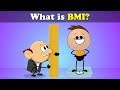 What Is BMI?