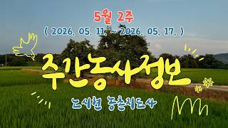 *  주간농사정보 ] 5월 2째주 (2026. 05. 11. ~ 2026. 05. 17.)