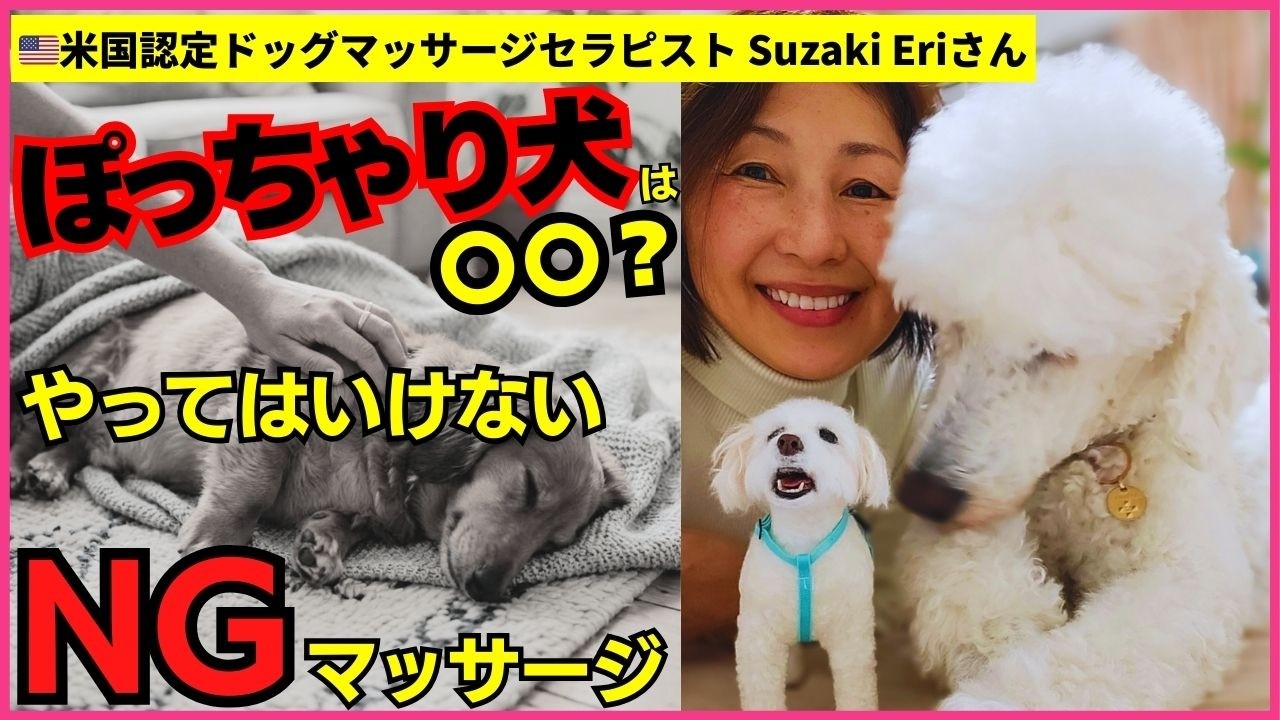 【衝撃】太ったは間違い？米国公認プロが教えるNGマッサージと不調サイン