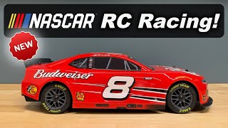 NASCAR RC Racing! - Losi Budweiser #8 Dale Earnheardt Jr. Fantasy Chevrolet Camaro ZL1