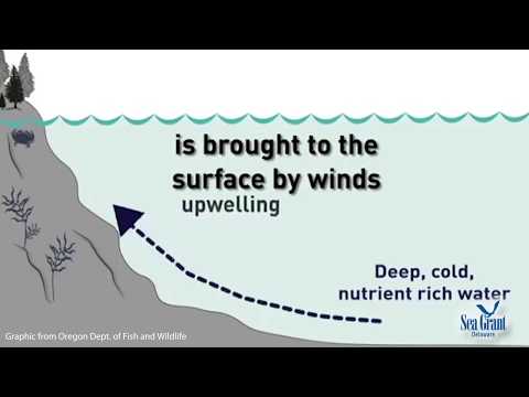 15 Second Science - Upwelling