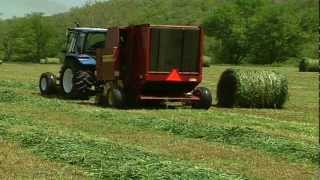 Round Bale Silage