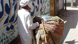 preview picture of video 'Veg Vendor in Kharana Pir Ghazi'