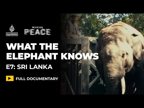 Elephants and Humans: Sri Lanka’s Deadly Coexistence | Making Peace Ep 7 | Featured Documentary