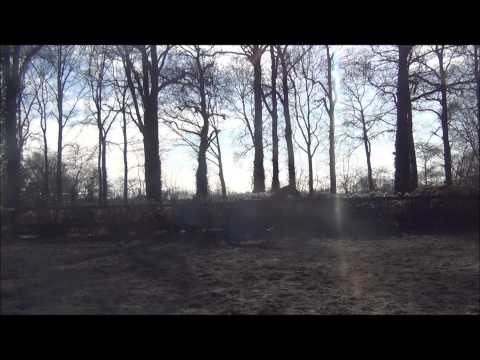 Lissaro van de helle x Tuschinski