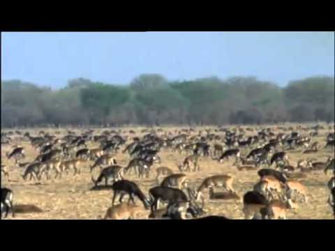 Der Nil   Die grosse Flut Dokumentation über den Nil Teil 1