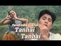 TANHAI TANHAI VINA FAN FULL PARODI RECREATE