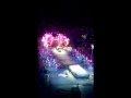 Ringling Bros Circus BOOM