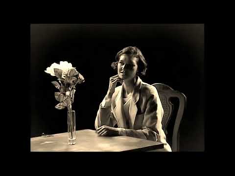 I'm Hitler's top guy