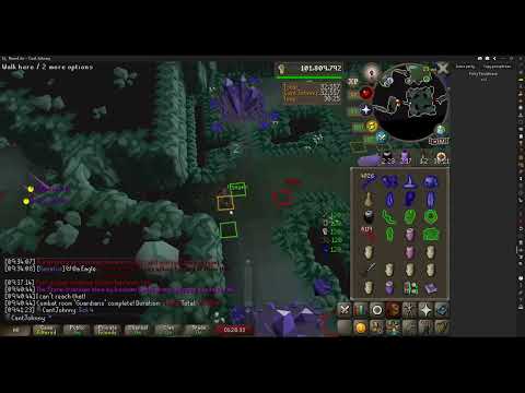 Vasa Skip Guide With Lost Tick Corrections
