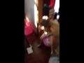 Bouncy Ball